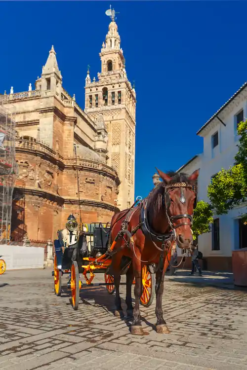 A traditional horse-drawn carriage stands on a cobbled street in front of the Giralda tower and Seville Cathedral, with a clear blue sky overhead.