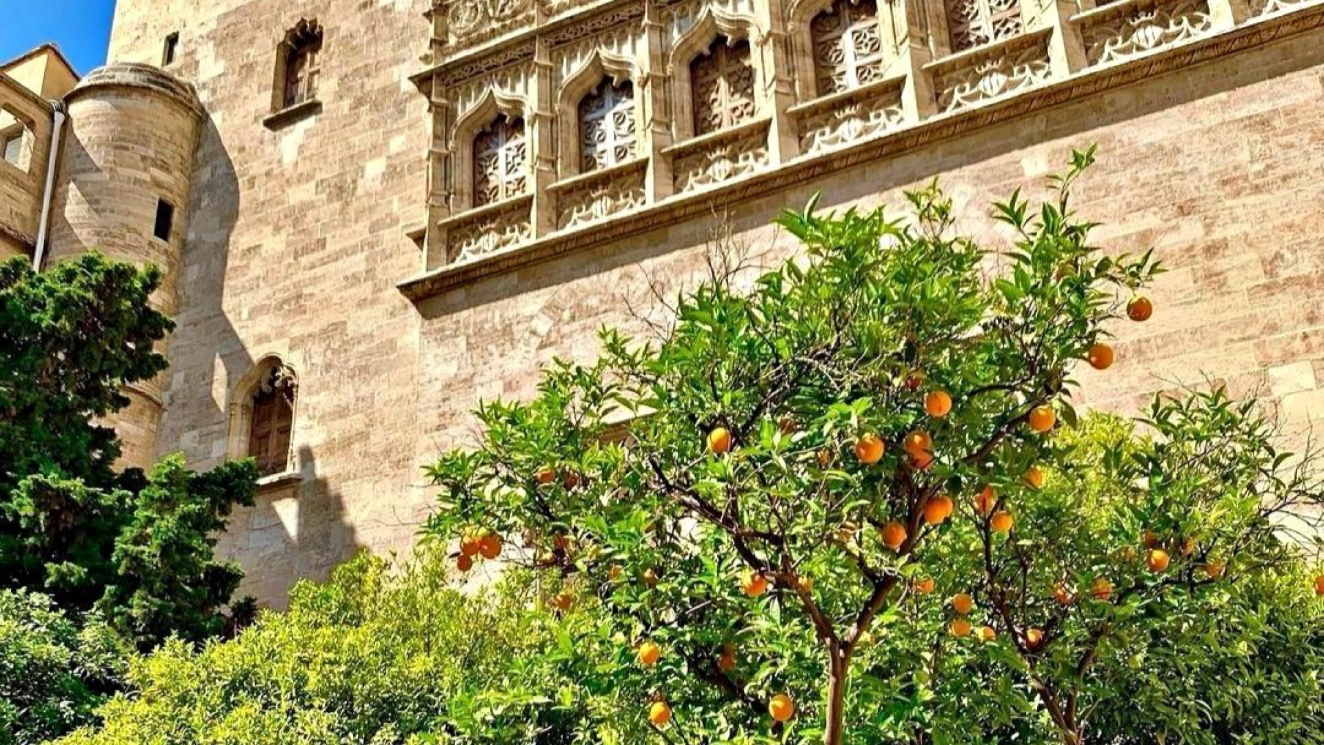 Valencia tour image