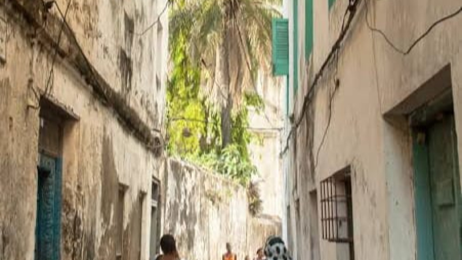 Zanzibar tour image