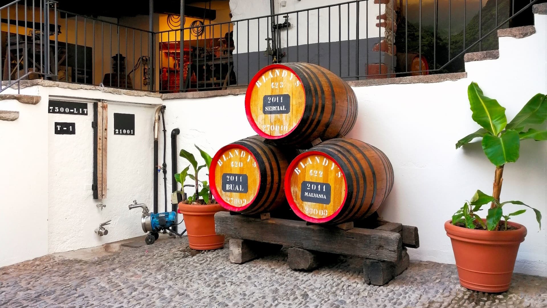 Funchal tour image