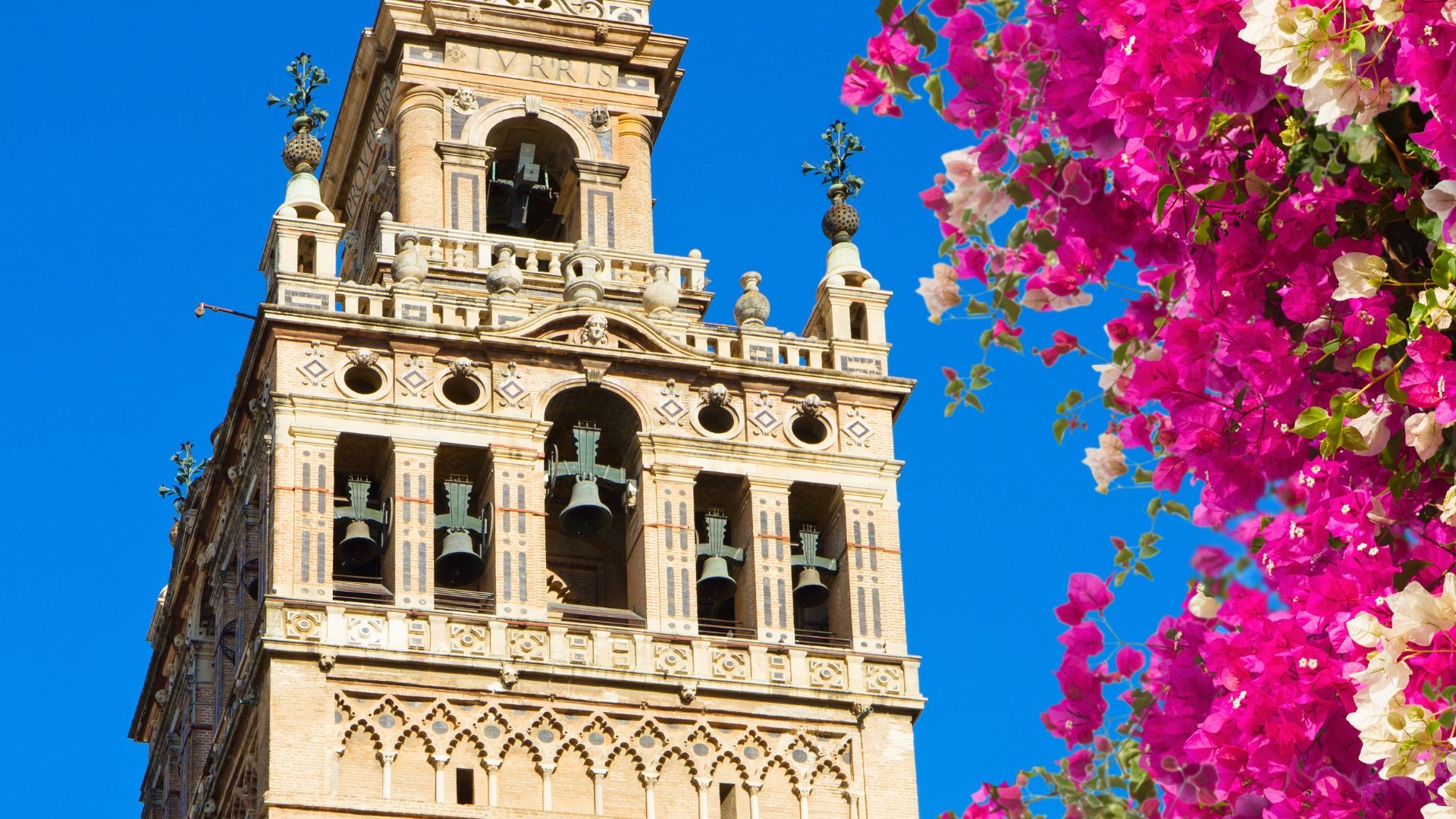 Sevilla tour image